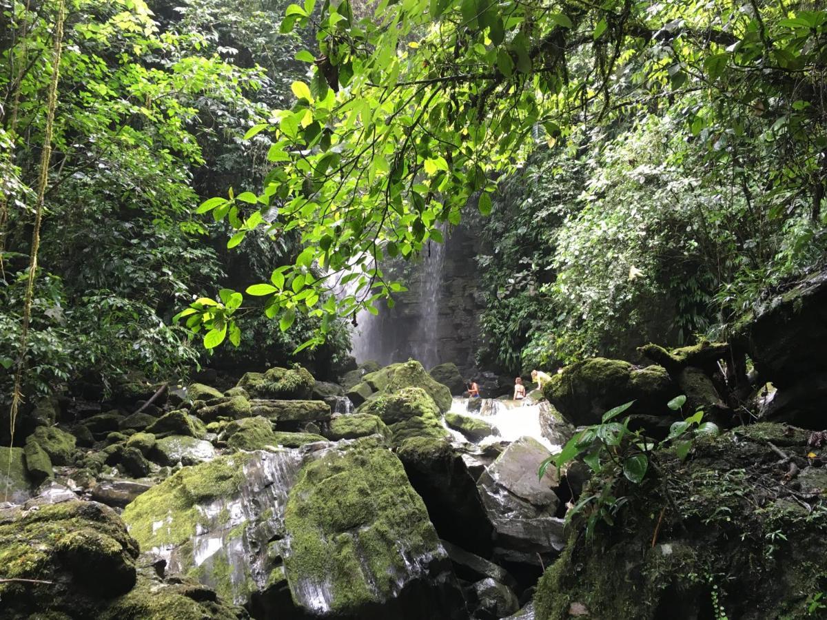 Grand Selva Lodge & Tours Tena Exterior photo